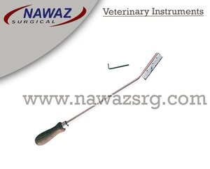 Flotteur dentaire vétérinaire argent avec manche en bois flotteur de dents dentaires en acier inoxydable d'excellente qualité Instruments vétérinaires - Product Image 2