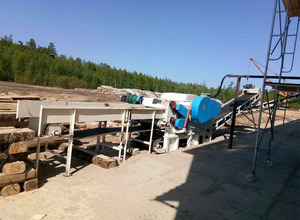 Centrale électrique à copeaux de bois en Indonésie Broyeur de copeaux d'eucalyptus - Product Image 3