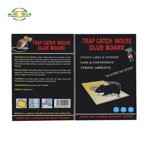 Best selling paper board mouse glue <strong>trap</strong> <strong>electronic</strong> <strong>rat</strong> <strong>trap</strong> - Product Image 2