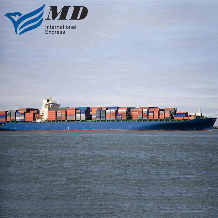 Livraison Express Service Logistique Fret Maritime Ningbo À États-unis