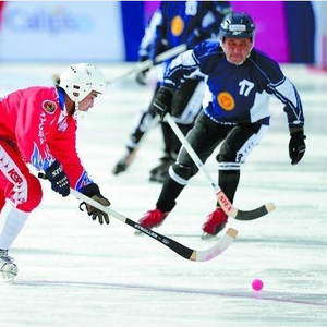 탄소 bandy 스틱 경량