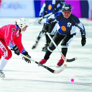 Carbon bandy stok met licht gewicht