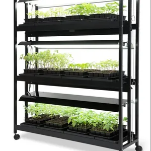 מקורה microgreen גידול/שתיל הידרופוני מערכת עם אורות מגשים