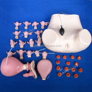 Kapsamlı Jinekolojik Muayene Eğitim Mankeni Çeşitli Serviks ve Uterus Modelleri - Product Image 5