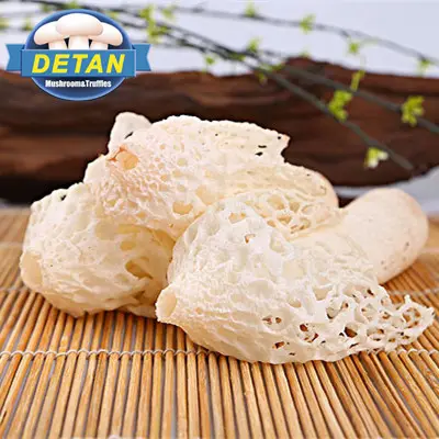 Detan البرية الطازجة فطر الخيزران