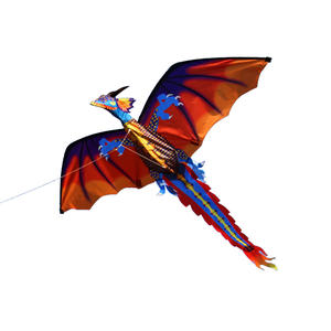 Заводская цена, воздушный змей дракона для детей - Product Image 6