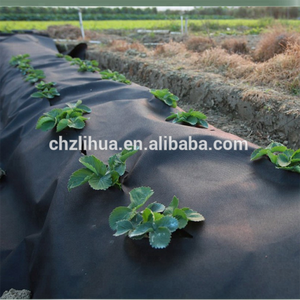 Многослойная пленка/покрытие для защиты растений от мороза/заземляющий барьер для сорняков, нетканый материал для сельского хозяйства - Product Image 5