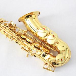<span class=keywords><strong>Saxophone</strong></span> Alto en laiton jaune, cafard de haute qualité, pour <span class=keywords><strong>débutant</strong></span>, couleur or, OEM, prix <span class=keywords><strong>pas</strong></span> <span class=keywords><strong>cher</strong></span>, sakeb, <span class=keywords><strong>Saxophone</strong></span> Alto, Offre Spéciale - Product Image 3