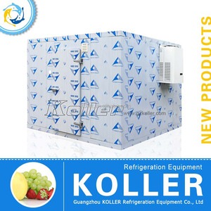 Koller <span class=keywords><strong>pequeña</strong></span> cámara frigorífica con refrigeradores para frutas y verduras - Product Image 1