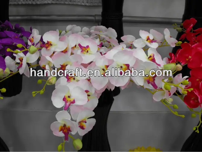 Produk Baru Anggrek Kupu-kupu Phalaenopsis Putih untuk Devor Pernikahan