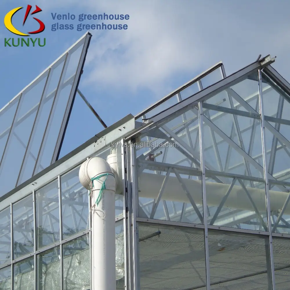 Venlo glass multi span greenhouse for agriculture