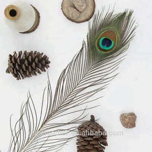32-36 Inch(80-90 Cm) Beautiful High Quality <strong>Natural</strong> Color Eco-Friendly <strong>Peacock</strong> Tail <strong>Feather</strong>