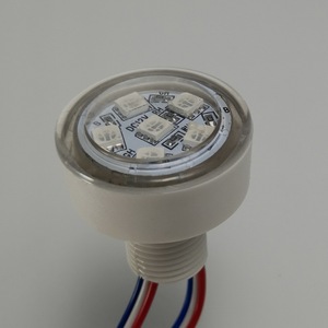 38mm Outdoor Digital Rgb 5050 Led Point Lights Led Amusement Light, 3leds Camalen Auto Pixel Led - Product Image 1