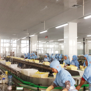 Línea de Producción de Procesamiento de Pescado Enlatado para Plantas de Fabricación, Máquina Enlatadora - Product Image 6