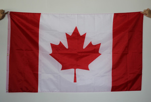 NX DRAPEAU Offre Spéciale prix bas vert jaune rouge rayures horizontales Éthiopien grand drapeau pour la promotion - Product Image 6