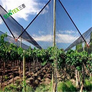 Warp Knitted Apple Tree Landwirtschaft liches <span class=keywords><strong>Anti</strong></span>-Hagel-Schutz netz/Landwirtschaft liches Obst zum Schutz von Hageln - Product Image 1