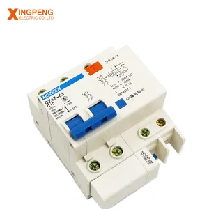 Wenzhou fabricante Disyuntor de fuga a tierra DZ47LE de tipo electrónico disyuntores rcbo 2P 32a