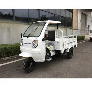 200cc couvert cargo tricycle puissant avec la technologie moderne -  Alibaba.com