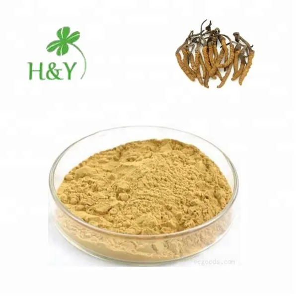 Free shipping Pure Natural Cordyceps extract Cordyceps Sinensis powder Yarsagumba Powder in bulk
