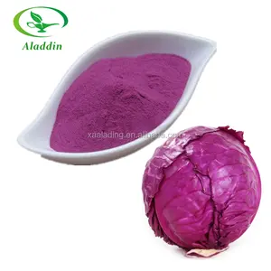 Pflanzen extrakt reines Rotkohl pulver mit Farbpigment