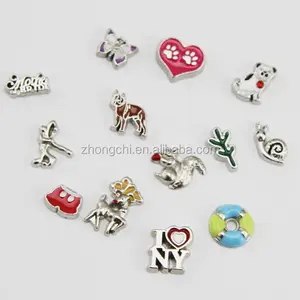 Wholesale mini charms for memory glass locket