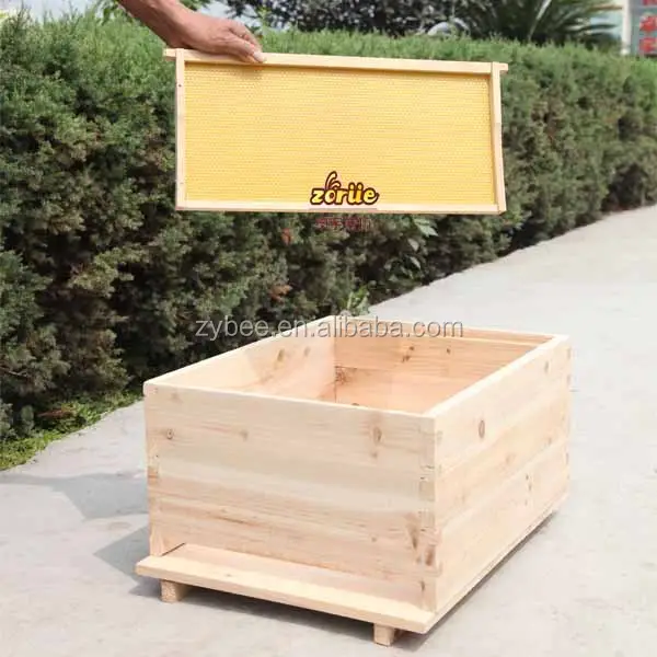 Colmena de abeja de madera natural de abeto chino de alta calidad, hecha a mano, para Apicultura