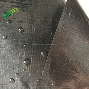 Fodere per laghetti in HDPE ad alta resistenza di alta qualità/geomembrane per piscicoltura per la costruzione impermeabilizzante - Product Image 2