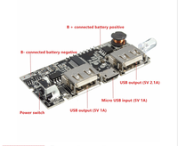 Module de chargeur de batterie Sunstar 18650 double USB 5V 1A/2.1A avec conformité RoHS et matériau FR-4