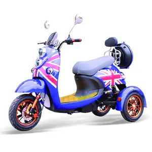 Lovely Style 3 Wheel Electric Tricycle Hot Sale 1000w Adult Electric Tricycle