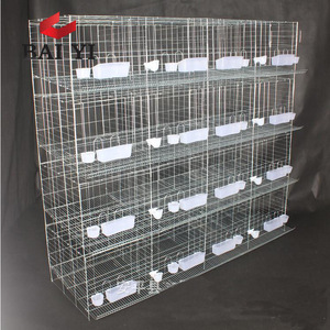 Cage pour pigeons voyageurs, cages pour animaux - Product Image 1