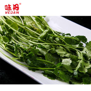 हवा सूखे धनिया पत्तियां पाउडर - Product Image 4