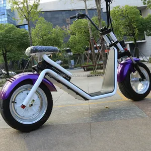 Simple precio barato moto citycoco electric ciclomotor