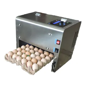 Automatic Egg Coding Machine Chicken Egg Printer Machine Price