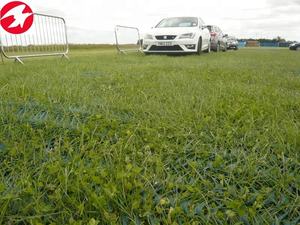 דשא רשת הגנה כדי להגן על ולייצב את דשא משטח - Product Image 4