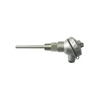 RTD PT100 温度传感器 4 “带 1/2“ NPT 螺纹和端子头的探头