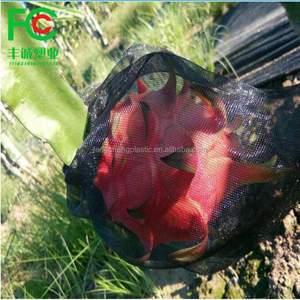 Filets en plastique noir pour l'agriculture fruitière / Filets en maille pour arbres fruitiers en PE vert avec une corde noire résistante utilisée pour les palmiers à dattes - Product Image 6