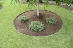 Corten Steel Garden Lawn <strong>Edging</strong>/<strong>Metal</strong> <strong>Border</strong> <strong>Edging</strong> - Product Image 3