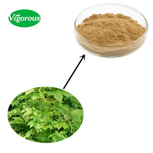 Органический экстракт Jjiaogulan/порошок экстракта листьев jiaogulan Gynostemma - Product Image 2