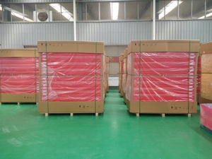 Mejor venta de esteras de judo en venta tatami de judo BJJ MMA se exportan a la venta - Product Image 5