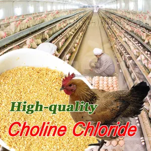 Choline chloride productieproces