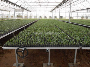 Yjfm <span class=keywords><strong>2021</strong></span> — technologie et équipement de pépinière modernes, Agriculture, lit de semis - Product Image 3