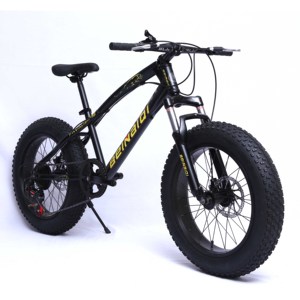 Vélo à pneus gras pour enfants de 20 pouces, vélo de plage, vélo de montagne, vélo à pneus gras 4.0 - Product Image 1