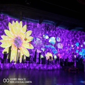 Đèn Chiếu Gobo Ngoài Trời 50W 100W, Đèn Chiếu Quảng Cáo Logo IP65 - Product Image 1