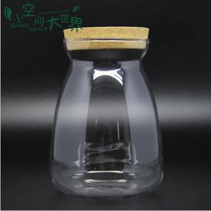 Vendite Dirette della fabbrica Mouthblown Borosilicato di Vetro <span class=keywords><strong>Piante</strong></span> Terrario/Vaso Di Vetro 11.5 centimetri * 12.5 centimetri 10 centimetri * 12.5cm - Product Image 2