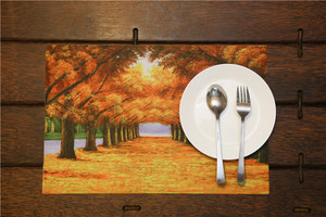 Alemania nuevo estilo absorción de polvo diseño personalizado PVC Placemat - Product Image 5