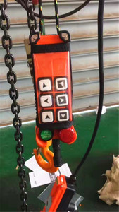 Un gran deber <span class=keywords><strong>polipasto</strong></span> eléctrico de cadena para grúa de pórtico de capacidad de 5 toneladas - Product Image 3