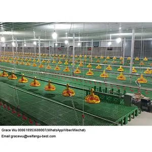 Broiler chicken cage system full poultry farm equipment for sale in sri lanka