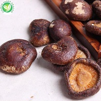 Snacks de seta frita al vacío, producto barato de exportación