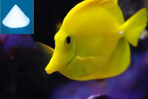 <span class=keywords><strong>50</strong></span> <span class=keywords><strong>Gallon</strong></span> <span class=keywords><strong>Aquarium</strong></span> ornements accessoires poisson sel eau LED <span class=keywords><strong>Aquarium</strong></span> éclairage - Product Image 3