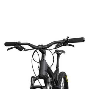 2019 nuevo cable interior marco carbono mtb 29er la suspensión de bicicleta de montaña - Product Image 6
